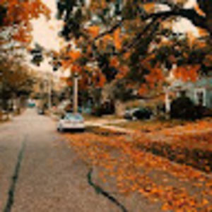 Meet your Posher, Danika